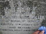 image of grave number 772863